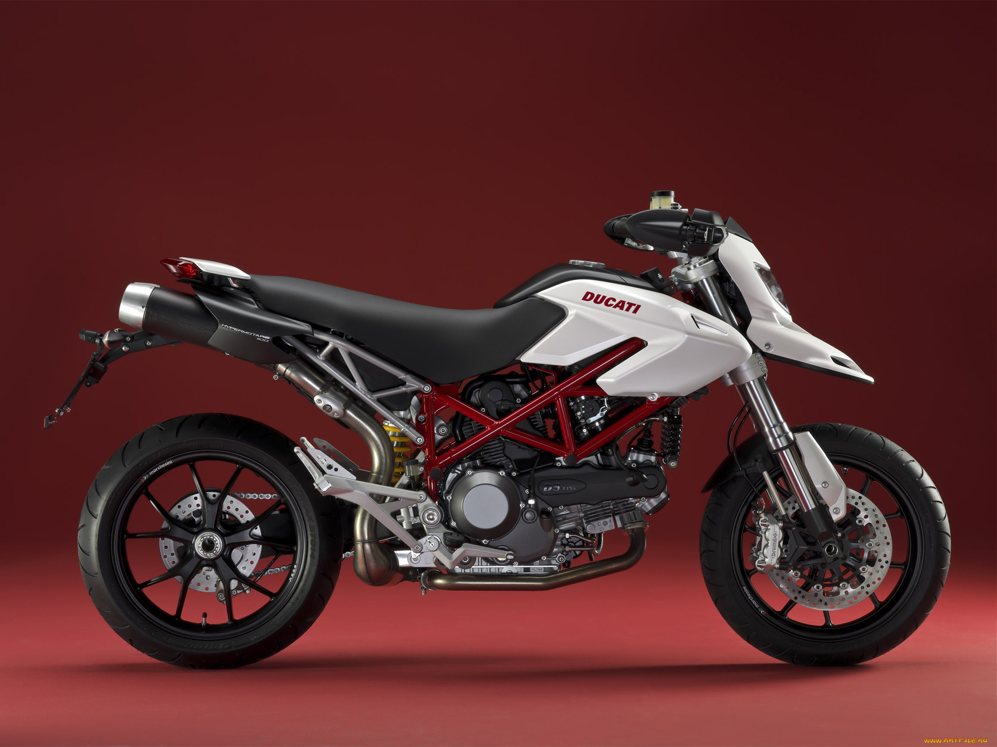 , ducati